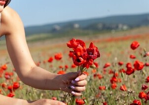 Photo 02
