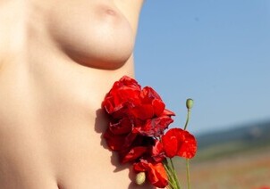 Photo 07